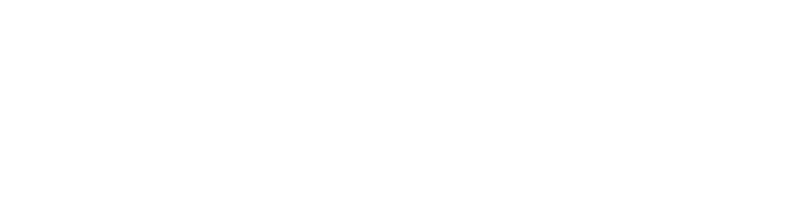 LOGO-LOGIKA300
